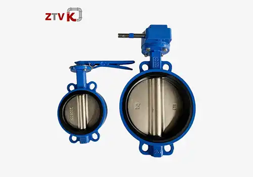 Iron Butterfly Valve: everything you need to know